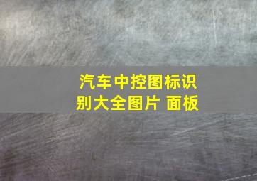 汽车中控图标识别大全图片 面板